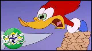 Pica-Pau Em Português Compilação De 1 Hora Desenhos Animados