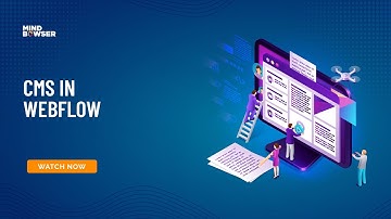 What Is CMS In Webflow?