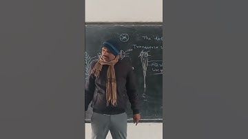 Anther  as  Bilobed Structure 🍀🌿 #reproductioninplantfullchapter 🎄