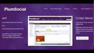 PlumSocial.com - Social Media Management Tool Net Worth