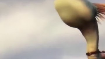 HTTTD Stormfly - Whatever it takes (Music Video)