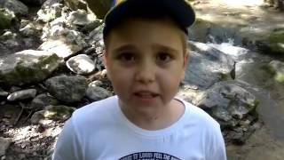 Ghid De Supravietuire In Salbaticie