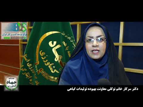 گزارش خانم دکتر توکلی معاونت بهبود تولیدات گیاهی سازمان جهاد کشاورزی استان بوشهر
