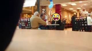 Chris And Emily Date, A Wild Pickleman Appears.