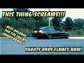 E46 M3 Active Autowerke Headers Install & AR-20 Budget Rasp Eliminator!! Sound Clips included!!