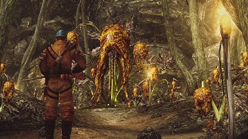 Fallout 3 - S2E74 - Point Lookout - Part 4: Walking With Spirits