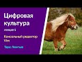 Цифровая культура - y2023 л5 - Тарас Леонтьев - Консольный редактор Vim