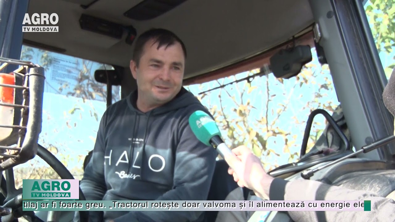 În doar 30 de secunde, scutură un copac de nuci – AGRO TV News