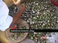 Sharp increase vegetable prices Tamilnadu