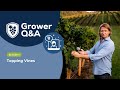 Grower qa episode 4  topping vines during the season for the grape grower