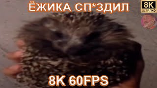 Ёжика Сп*Здил 8K 60Fps🦔🦔🦔