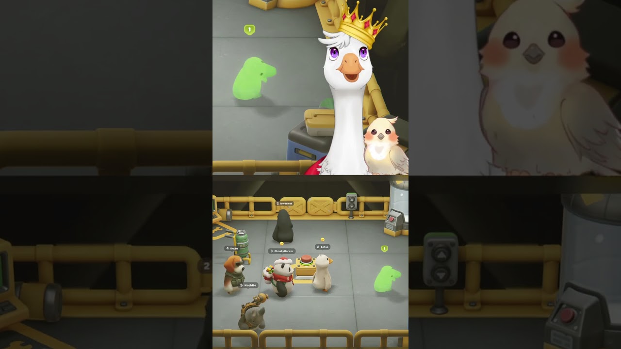 Entiendes el español? 