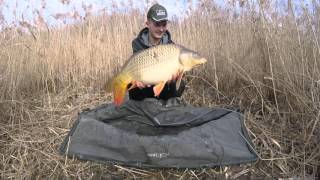 Pêche à la carpe session hivernale 2016