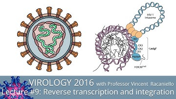 Virology Lectures 2016 #9: Reverse transcription and integration
