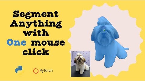 Segment Anything with One mouse click