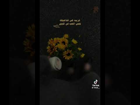 تفاصيلك خذتني لك