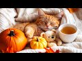 Soothing Cat TV 🎶🐱 | Stress Relief & Deep Sleep Music for Cats (Musica para Dormir Gatos)