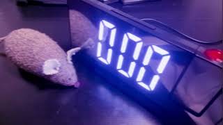 ¿COMO CONFIGURAR LA HORA EN RELOJ DIGITAL DE SHEIN? screenshot 5