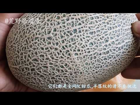 市面上常见的2种哈密瓜那种更好吃？不如来真实的对比下  melon，cantaloupe