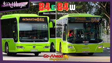Bus Service 84G/W First Day of Operations Music Video Showcase | 희진Heejin