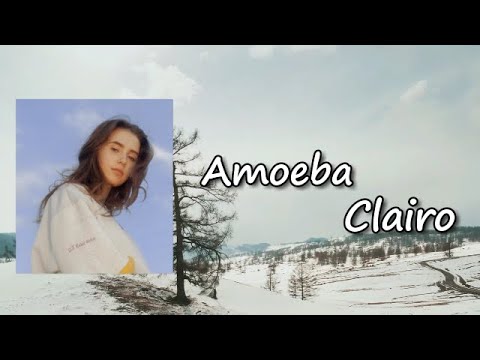 Clairo - Amoeba Lyrics