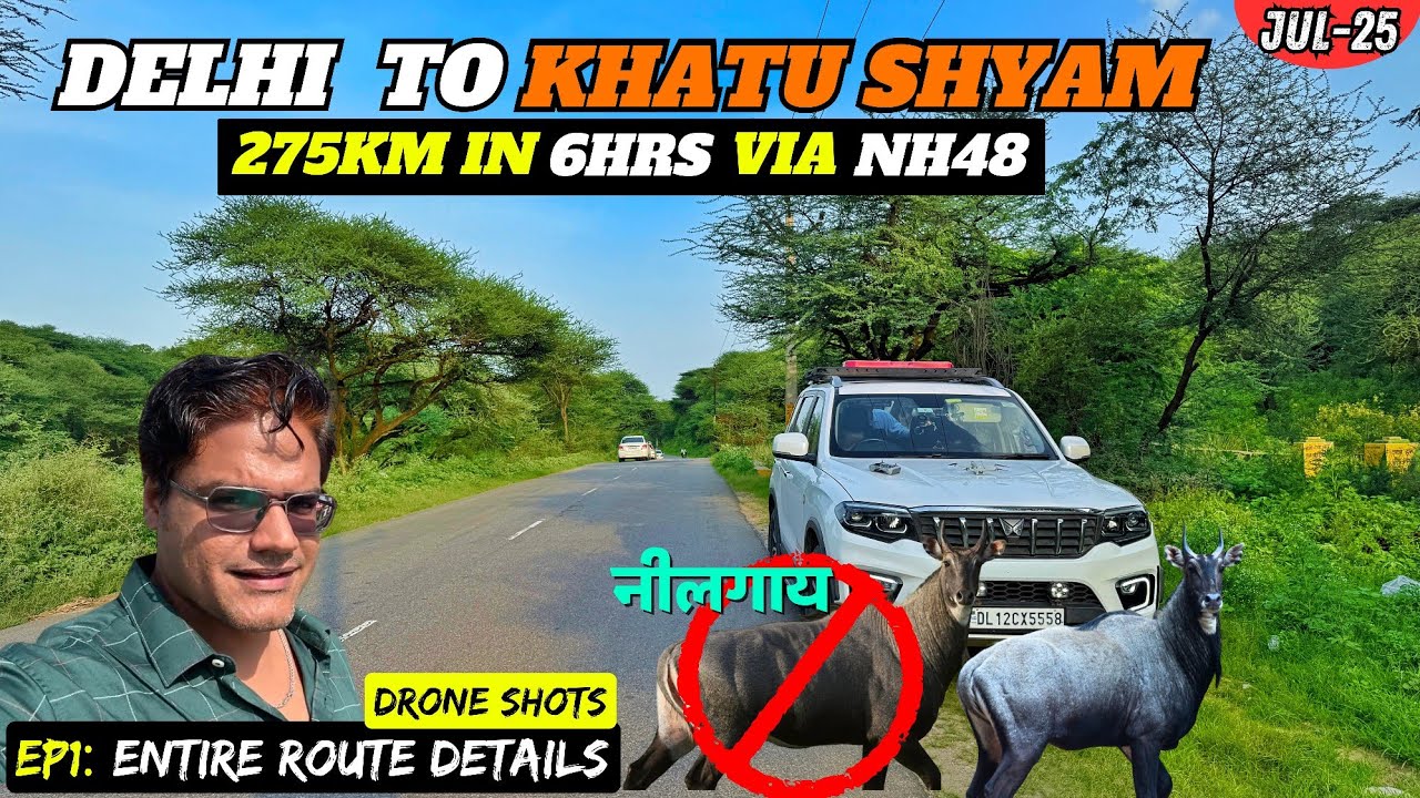 Delhi to Khatu Shyam by Scorpio-N | EP1: Nilgai Aagayi achanak 🔥 #travelvlog #khatushyam #mahindra