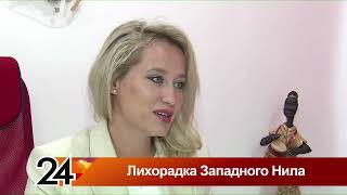 картинка: Лихорадка Западного Нила. Главные новости от 31.07.24