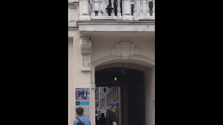 Dog dropping a ball from the balcony to play with people who passing by 🐶🥎