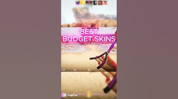 😍BEST BUDGET SKINS😍 #cs2 #cs2skins #phonk #shorts #gaming #music #edit
