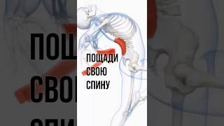 Как гнуться назад безопасно? Ссылка на ТГ канал в комментах #гибкость #балетдлявсех