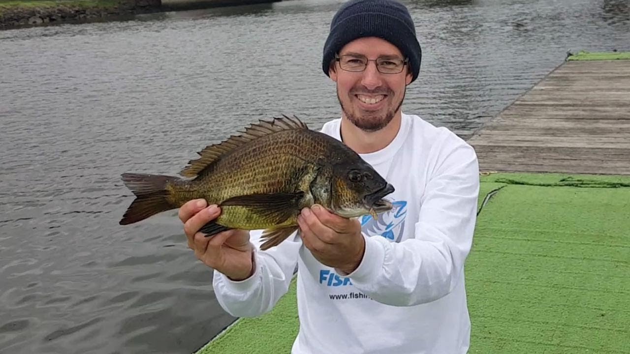 Maribyrnong River Fishing for Bream Fishing Melbourne YouTube