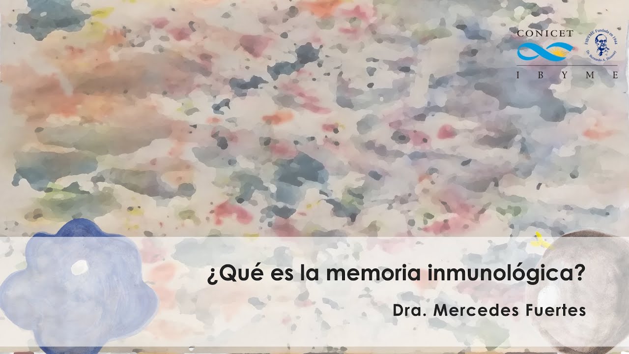 ¿Qué es la memoria inmunológica? (Microvideos IBYME)