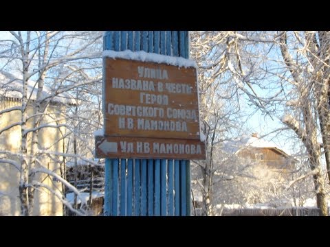 Герою Советского Союза Н.В.Мамонову посвящается.  п.Коноша. 2020г