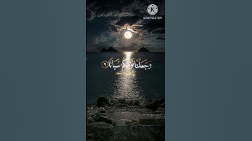 تلاوة من سورة النبأ القارئ احمد خضر 🤍