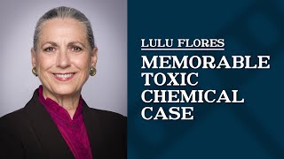 Memorable Toxic Chemical Case | Lulu Flores
