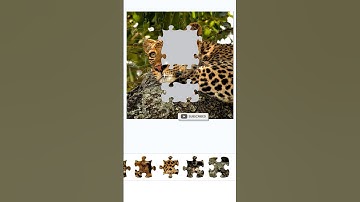 😳 Only Genius Can Win | puzzle game Mobile 🧩