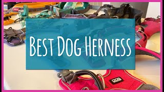 【犬 ハーネス】ドッグトレーナーがおすすめするハーネス５選！【犬 胴輪】