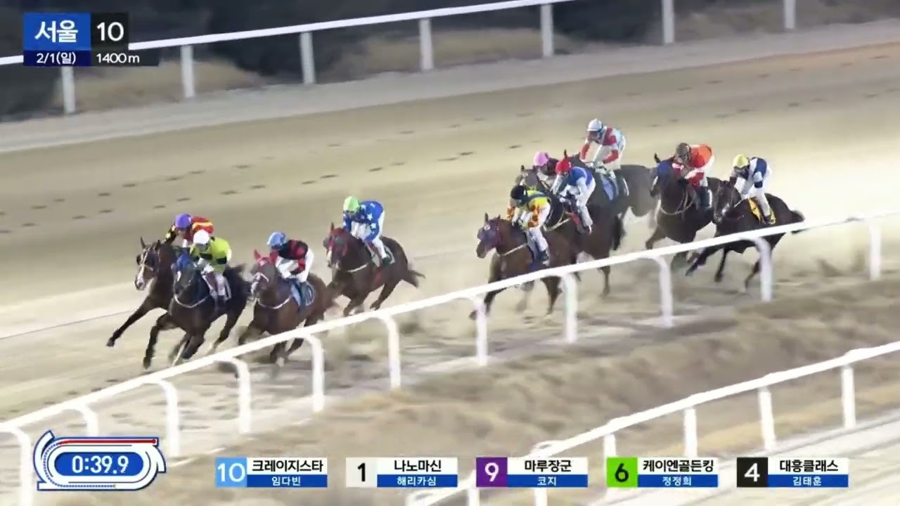 11배적중1.2  