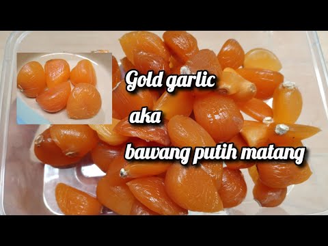 Video: Bawang putih liar yang diperap - gudang vitamin