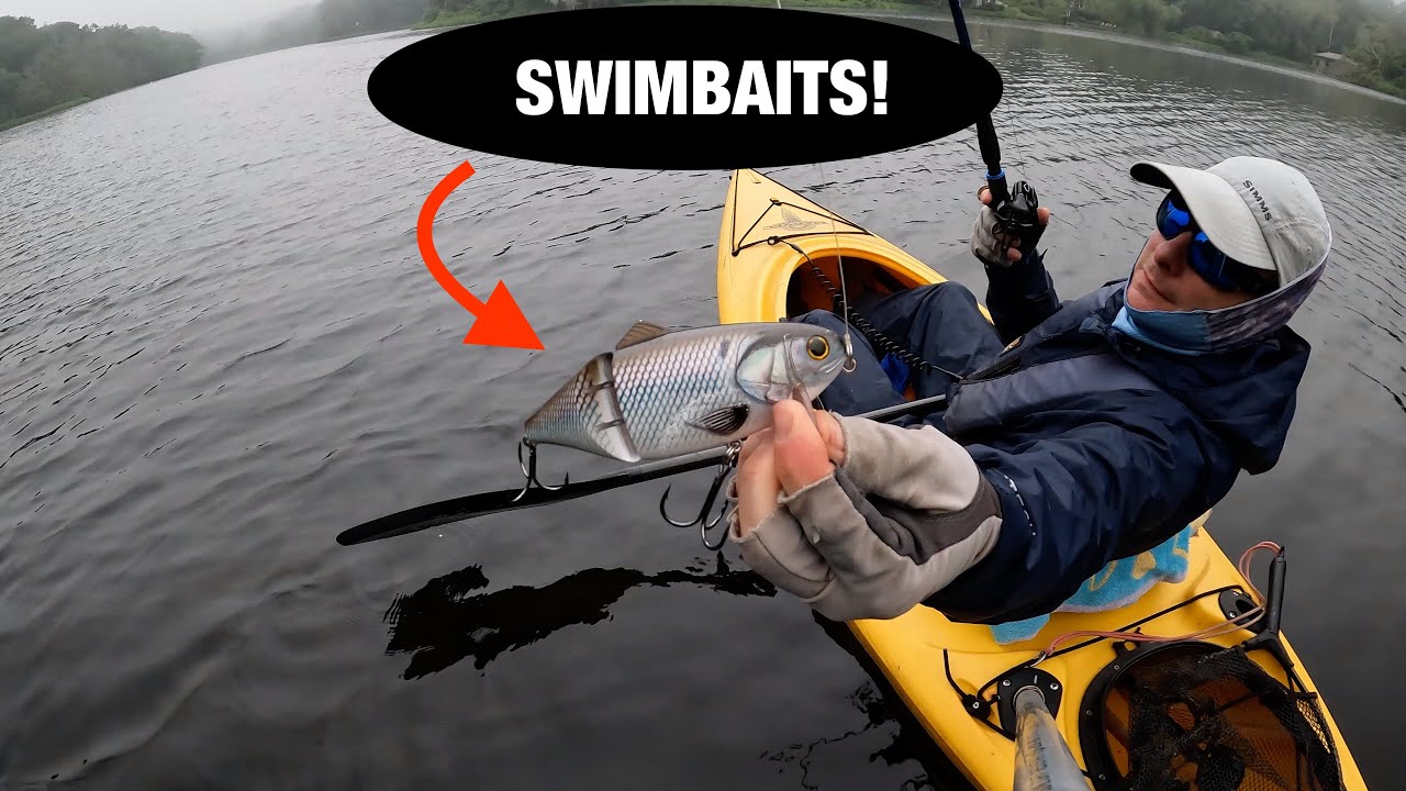 Budget Swimbait Combo Produces Big Bass! 🎣