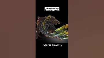 How EVERYONE Saw Chaotic Gore Magala Monsterhunterrise Dragon Mhw Monsterhunter 