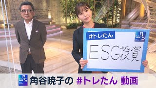 WBS  角谷暁子の #トレたん 動画 Vol.１「ESG投資」（2021年6月22日）