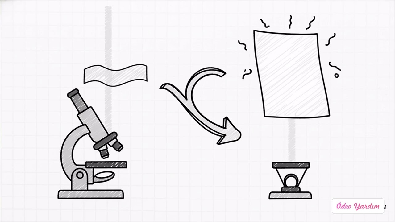 PATOLOJİ LABORATUVAR ÇALIŞMALARI 4. Ünite | Sağlık Bakım Teknisyenliği 1