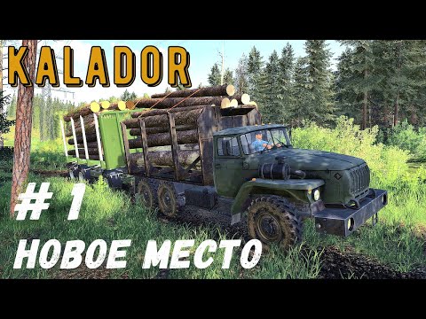 Видео: FS 19  - Приехал на НОВОЕ место.   Ставлю дом.   Продаю лес -  KALADOR  фермер лесоруб # 1