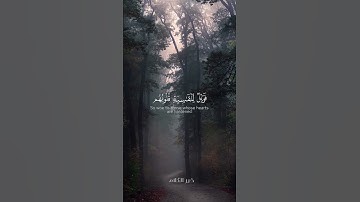 أفمن شرح الله صدره للإسلام | القارئ محمد اللحيدان