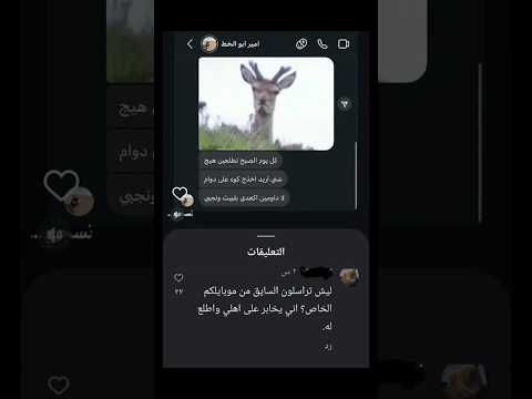 أذا تريد تتونس وتضحك قناتي تلكرام بل بايو تفوتكم وداعت جورجينا اكسبلور سويف انستا ميمز ضحك