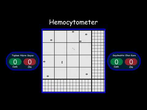 Video: Hemositometrede hücre saymanın kuralları nelerdir?