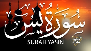 سورة ياسين (يس) كامله تلاوات زكية بنبرة هادئة تريح الأعصاب القارئ عمر الزهوري Surah Yasin