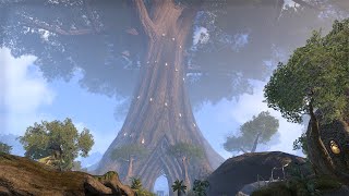 The Book of the Great Tree