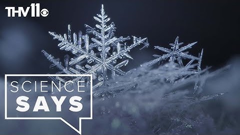 Why no two snowflakes are alike | Science Says